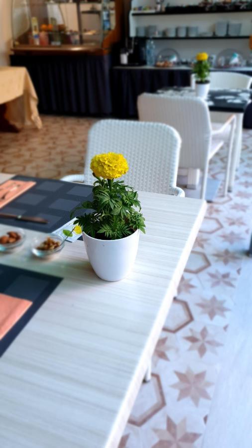 Tropeacentro Bed & Breakfast Ngoại thất bức ảnh